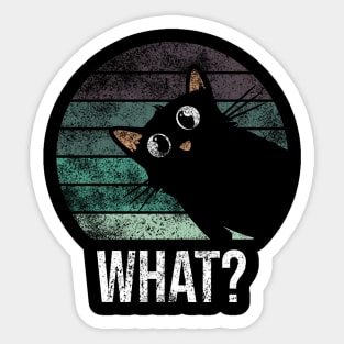 Cute and funny vintage suprised black cat what Sticker